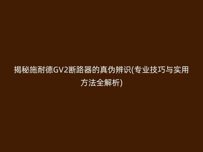 揭秘施耐德GV2断路器的真伪辨识(专业技巧与实用方法全解析)