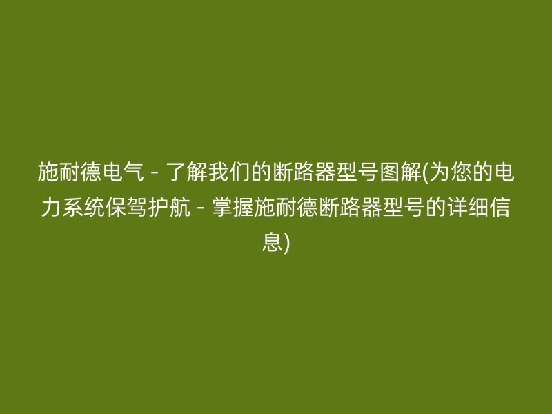 施耐德电气 - 了解我们的断路器型号图解(为您的电力系统保驾护航 - 掌握施耐德断路器型号的详细信息)