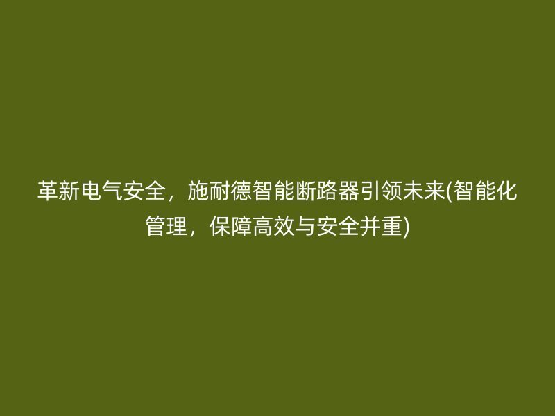 革新电气安全，施耐德智能断路器引领未来(智能化管理，保障高效与安全并重)