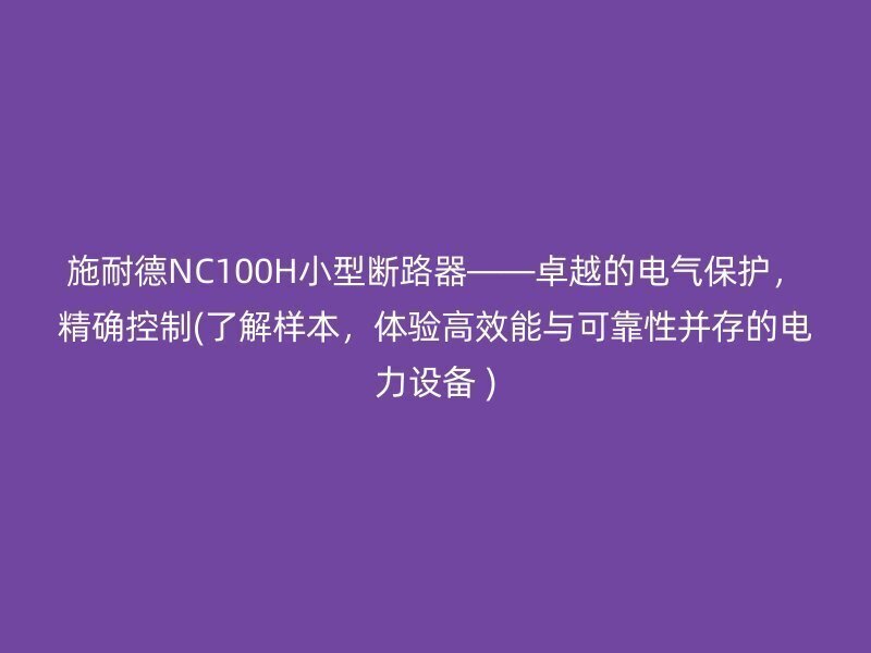 施耐德NC100H小型断路器——卓越的电气保护，精确控制(了解样本，体验高效能与可靠性并存的电力设备 )